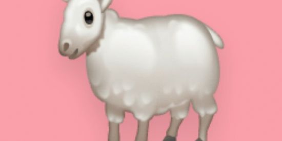 Imagem do grupo de WhatsApp H.A.R.E.M