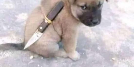 Imagem do grupo de WhatsApp Amigos de Porto Velho 69