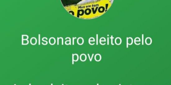 Imagem do grupo de WhatsApp Brasil de direita 🇧🇷