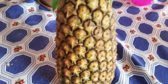 Imagem do grupo de WhatsApp Zoeira kk😝