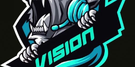 Imagem do grupo de WhatsApp GUILDA VISION