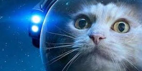 Imagem do grupo de WhatsApp Mayhen in the multiverse