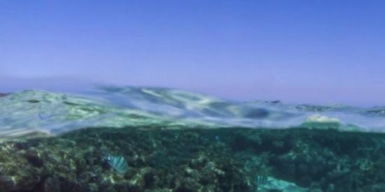 Imagem do grupo de WhatsApp 013 Amizades e encontros Itanhaém e baixada santista