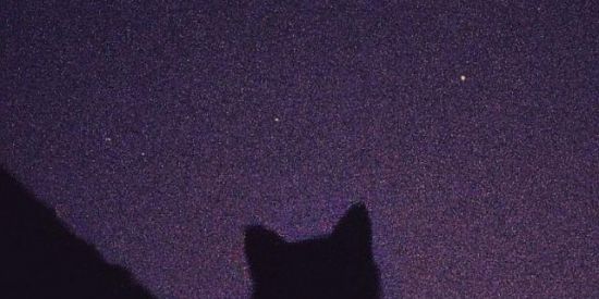 Imagem do grupo de WhatsApp Grupo para amigos, gamers.