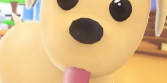 Imagem do grupo de WhatsApp Adopt me trade