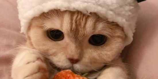 Imagem do grupo de WhatsApp Amor e amizade