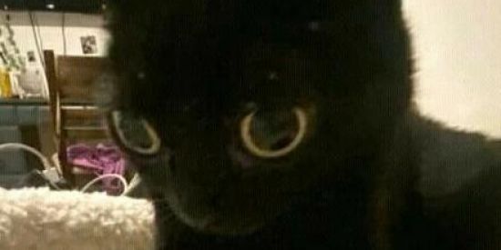 Imagem do grupo de WhatsApp AMIZADES