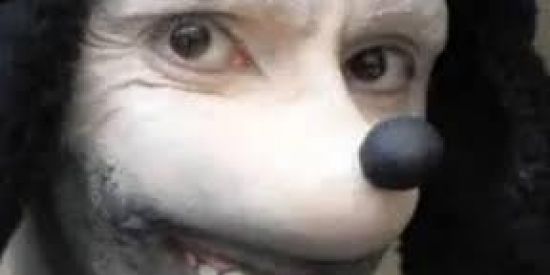 Imagem do grupo de WhatsApp Na conta da loucura.