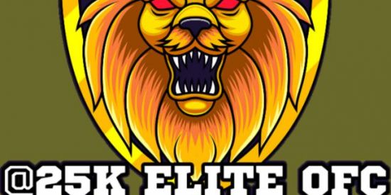 Imagem do grupo de WhatsApp DIVULGAÇÕES  @25K ELITE