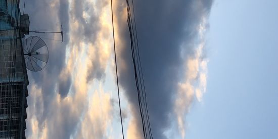 Imagem do grupo de WhatsApp 👎🏻👎🏻