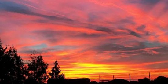 Imagem do grupo de WhatsApp sunset lovers 🌅