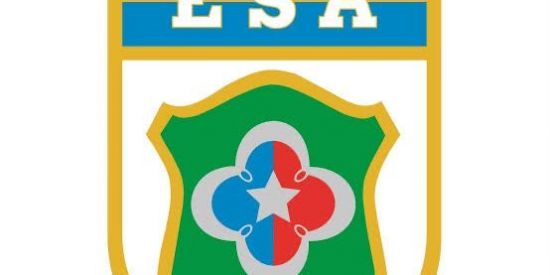 Imagem do grupo de WhatsApp Dicas para ESA 🇧🇷🔰