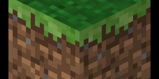 Imagem do grupo de WhatsApp Terra 1.0🌎