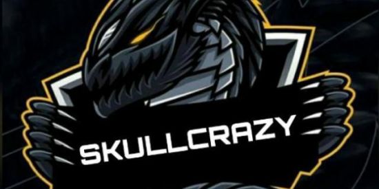 Imagem do grupo de WhatsApp RECRUTAMENTO SkullCrazy²