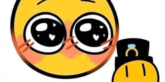 Imagem do grupo de WhatsApp Os lalaistas🫄