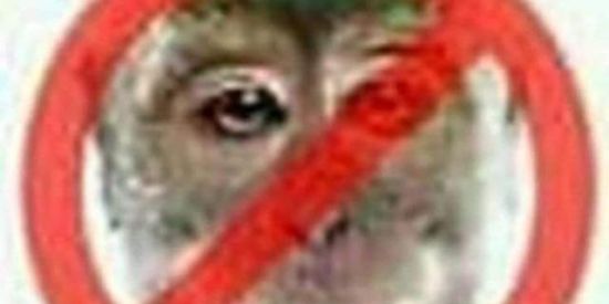 Imagem do grupo de WhatsApp 𝕋ℍ𝔼 𝕄𝕆ℕ𝕂𝔼𝕐𝕊™ 𝟛.𝟘