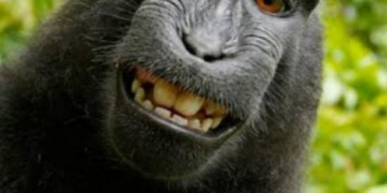 Imagem do grupo de WhatsApp Só escandalo