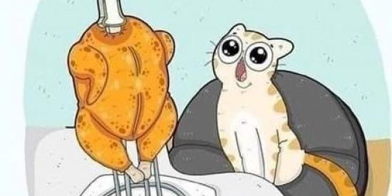 Imagem do grupo de WhatsApp Amizade LGBT