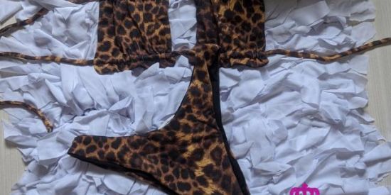 Imagem do grupo de WhatsApp Preciosa Santiago Atacado