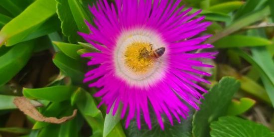 Imagem do grupo de WhatsApp Jogadores Anônimos