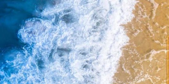 Imagem do grupo de WhatsApp Vampire🩸💊