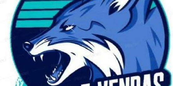 Imagem do grupo de WhatsApp TROCAS E VENDAS DA CLOWTH