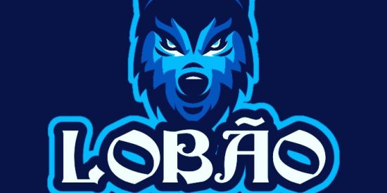 Imagem do grupo de WhatsApp DIARIO CAMP LB_LOBAO