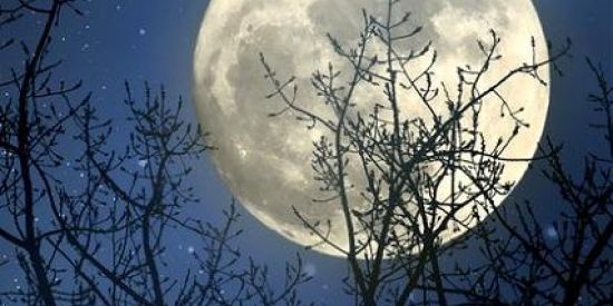 Imagem do grupo de WhatsApp Trilhar caminhos 🌕🕯️🪷🕯️