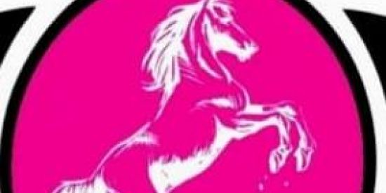 Imagem do grupo de WhatsApp Brasileirão 2023