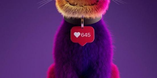 Imagem do grupo de WhatsApp ♻️SIMPA VENDAS DE SEGUIDORES 🧸