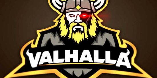 Imagem do grupo de WhatsApp CLÃ VALHALLA🇦🇷💯