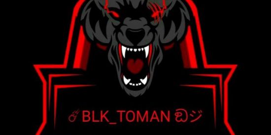 Imagem do grupo de WhatsApp ☄BLK_TOMAN ඞジ