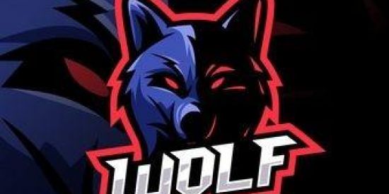 Imagem do grupo de WhatsApp WOLF