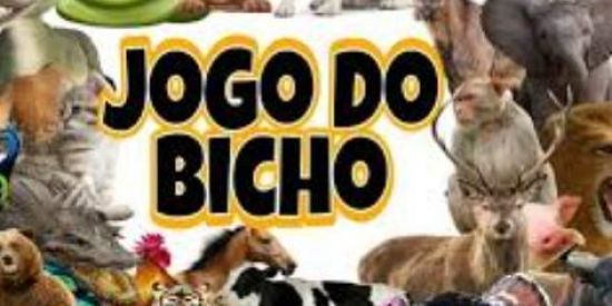 Imagem do grupo de WhatsApp 🧿 jáany premiação 🦚🦚