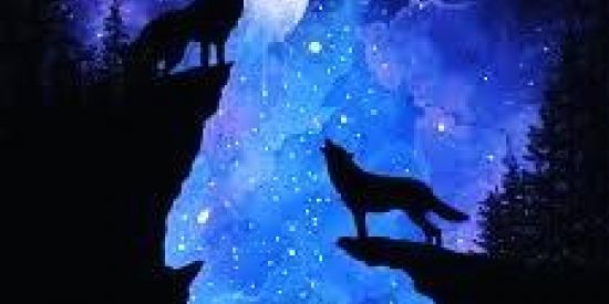 Imagem do grupo de WhatsApp Venda de sensi