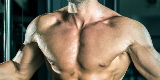 Imagem do grupo de WhatsApp 🗿