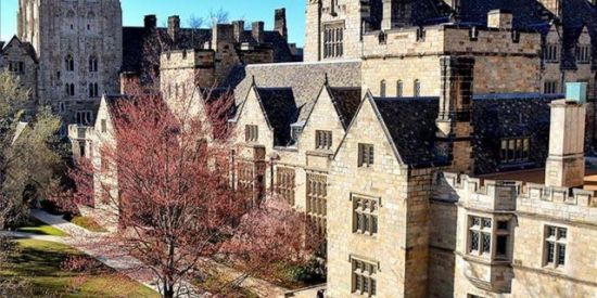 Imagem do grupo de WhatsApp University //RPG