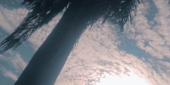 Imagem do grupo de WhatsApp Agitaaa