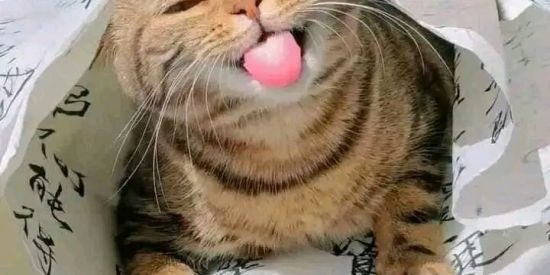 Imagem do grupo de WhatsApp Animes e jogos