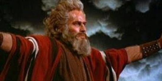 Imagem do grupo de WhatsApp Zueira sem limites 🤡