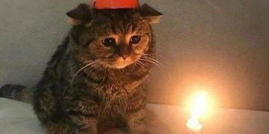 Imagem do grupo de WhatsApp 𝑃𝑈𝐵𝐿𝐼𝐶 𝑂𝐹 𝐵𝑅𝑂𝑁𝐾𝑆 🥇