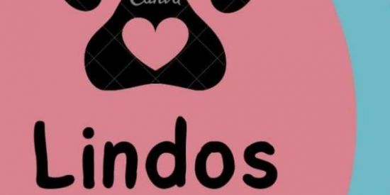 Imagem do grupo de WhatsApp Lindos Pets