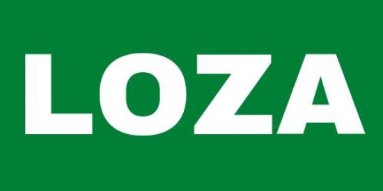 Imagem do grupo de WhatsApp LOZA RS COPA