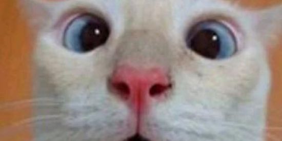 Imagem do grupo de WhatsApp Amizade estrema 🤤🥵👺