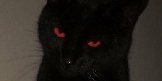 Imagem do grupo de WhatsApp ✰🎭𝐎𝐒 𝐃𝐄𝐒𝐎𝐂𝐔𝐏𝐀𝐃𝐎𝐒🎭✰