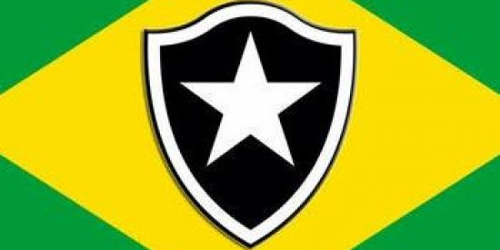 Imagem do grupo de WhatsApp Botafoguenses de Direita🇧🇷