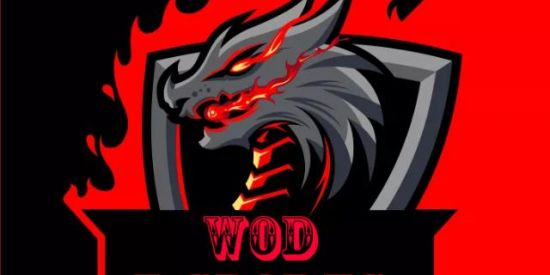 Imagem do grupo de WhatsApp 🔰WOD E-SPORTS🔰