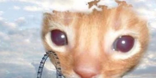 Imagem do grupo de WhatsApp 𝕱𝖎𝖌𝖚𝖗𝖎𝖓𝖍𝖆𝖘🅰️💥