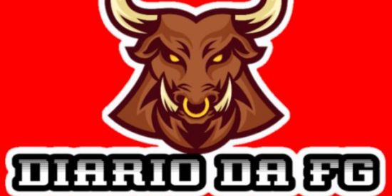 Imagem do grupo de WhatsApp DIARIO DA FG