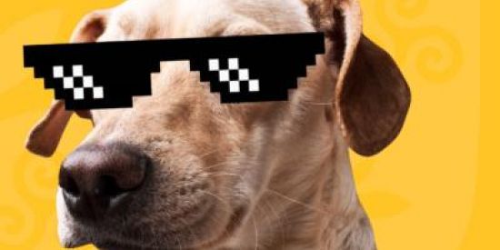 Imagem do grupo de WhatsApp Grupo da bagunça